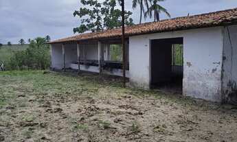 Imagem 15: Excelente Fazenda com 150 hectares na região de São Gonçalo do Amarante