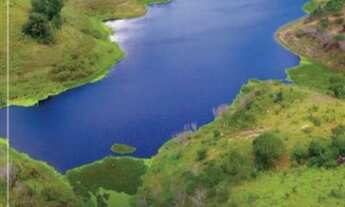 Imagem 3: FAZENDA PEDRA DO LAGO. SUA CASA DE CAMPO EM SÃO GONÇALO DOS CAMPOS-BA
