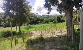 Imagem 4: Fazenda/Sítio/Chácara para venda tem 200 metros quadrados com 2 quartos