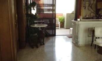 Imagem 3: Cobertura Duplex- Jd America-400m2 uteis- Vista 360 graus