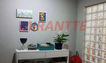 Imagem 6: Linda casa em Serra Da Cantareira