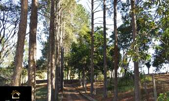 Imagem 4: Vendo Sítio no bairro Arcozelo em Paty do Alferes - RJ