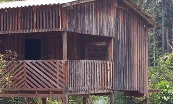 Imagem 4: TERRENO NA BR 319