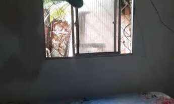 Imagem 6: Casa em areia branca Egea