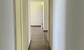 Imagem 10: Campo Grande, 150 metros, 3/4, armários - Salvador - BA