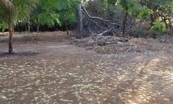 Imagem 3: Vendo chácara na Agrotins urgente