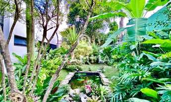 Imagem 5: Linda casa no Alto da Lapa