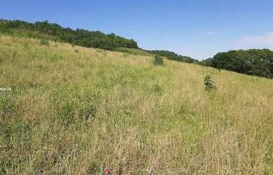 Imagem 2: Vendo Excelente Fazenda em Mirandiba - PE