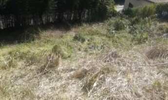 Imagem 5: Petrópolis - Terreno Padrão - Itaipava