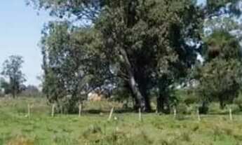 Imagem 6: U- 507 Oportunidade de Fundamento Vendo 42.000 metros quadrados em Pelotas