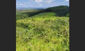 Imagem 4: Terreno com água em abundância na região Serra da Canastra, MG