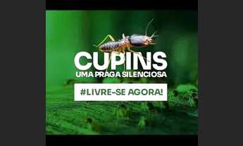 Imagem 2: DEDETIZAÇÃO MOSQUEIRO E PRAIAS