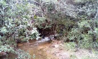 Imagem 4: Lindo SItio c/Fonte de Água e Riacho 43.000m2