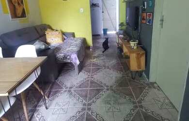 Imagem 6: Casa para alugar no Industrial