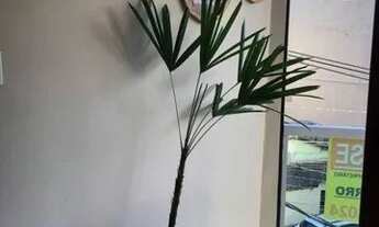 Imagem 5: Apartamento com 2 dormitórios à venda, 72 m² por R$ 205.000 - Santa Inês - Vila Velha/ES