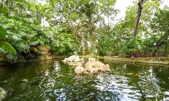 Imagem 7: Belvedere 1 - Preço de ocasião