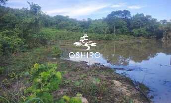 Imagem 6: FAZ. EM ARAGUAPAZ - GO - PROP.M.A. CÓD 14004