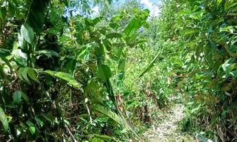 Imagem: Terreno com água