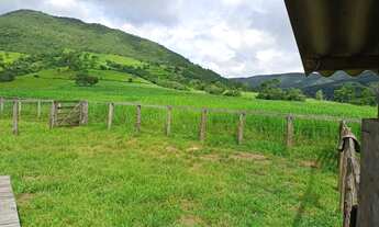 Imagem 7: Fazenda à venda possui 125 alqueires em Zona Rural - Cocalzinho de Goiás - GO