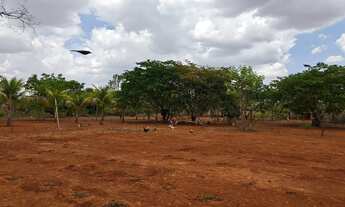 Imagem 6: Chácara 5.000M2 na Região de Glaucilândia