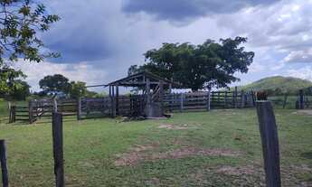 Imagem 2: Vendo 16.20 alqueires no município de Araguapaz