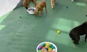 Imagem 7: Investimento Inteligente: 1 Quarto no Porto Maravilha com ITBI e RGI Grátis !