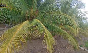 Imagem 2: Casa com terreno para vender