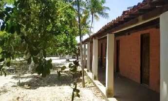 Imagem 7: Imóvel para venda tem 180 metros quadrados com 2 quartos em Centro - Piaçabuçu - AL