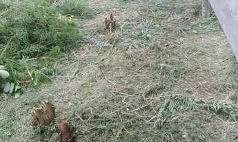 Imagem 5: Terreno Em Campo Grande