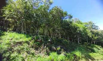 Imagem 7: Terreno de 2870 m² à venda, Vista Panorâmica do Mar com viabilidade - Sambaqui, em Florian