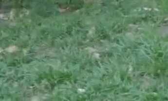 Imagem 2: VENDE-SE TERRENO EM BOMFIM!