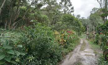 Imagem 6: Terreno de 2 mil mts 77 mil reais plaino