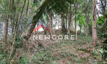 Imagem 2: Lote em Rua da Britadeira - Britadeira - São Francisco de Paula/RS