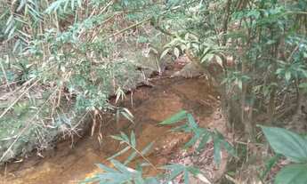 Imagem 2: 5 hectares 100 mil reais