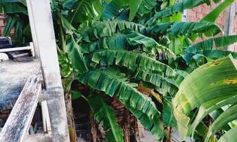 Imagem 6: Vendo casa parque São Pedro Tarumã