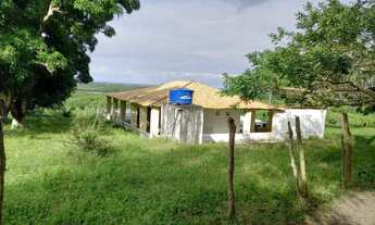 Imagem 7: Fazenda São João Evangelista