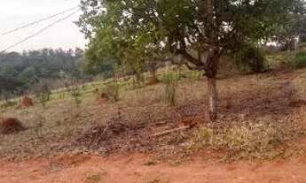 Imagem 2: Lote 1000 metros