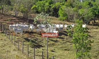Imagem 7: Fazenda 15,67 alqueires (75,84 hectares) Hidrolândia - Go