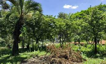 Imagem 7: OPORTUNIDADE-100% PLANA - ASFALTADA