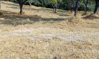 Imagem 4: Terreno módulo rural em para de minas
