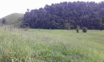 Imagem 3: Venda-se está fazenda de 80 Alqueires no Município de Kennedy/ES