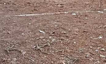 Imagem 2: Lote em Pirenópolis