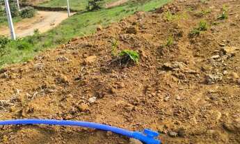 Imagem 6: 86E- TERRENOS COM TODAS AS TOPOGRAFIAS EM IGARATÁ