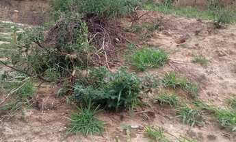 Imagem: Vendo lote bairro Pérola Negra Santa Luzia