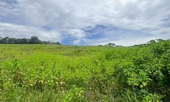 Imagem 3: Oportunidade única de investimento no KM 82 da Bunjiro Nakao