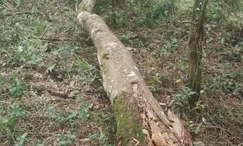 Imagem 4: Vendo terreno bairro Piratuba, ou troco por terreno, casa em Sorocaba