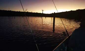 Imagem: RANCHO PALMITAL