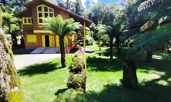 Imagem: Casa em Rua São Bernardo - São Bernardo