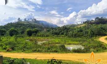 Imagem 3: 86E- TERRENOS COM TODAS AS TOPOGRAFIAS EM IGARATÁ