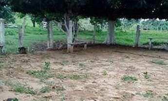 Imagem 6: Uma Fazenda em Parecis-Ro